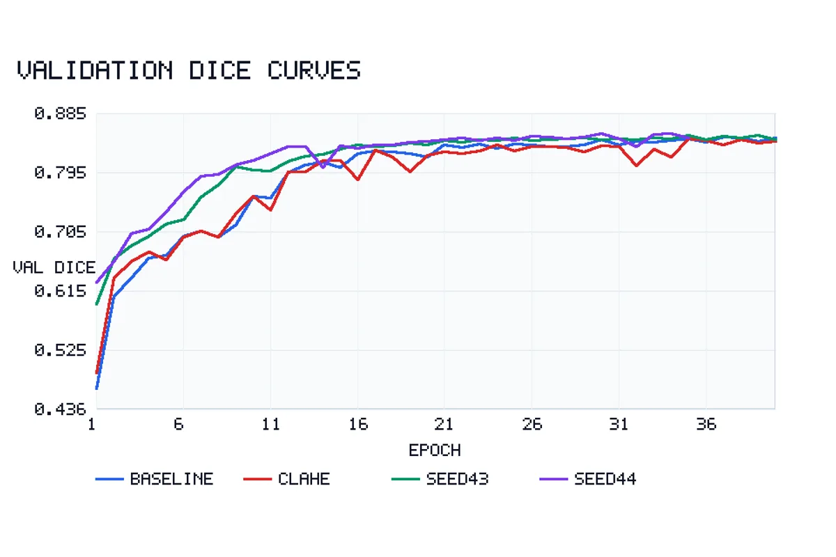 Validation Dice curves comparing baseline, CLAHE, and two seed runs across 40 training epochs.